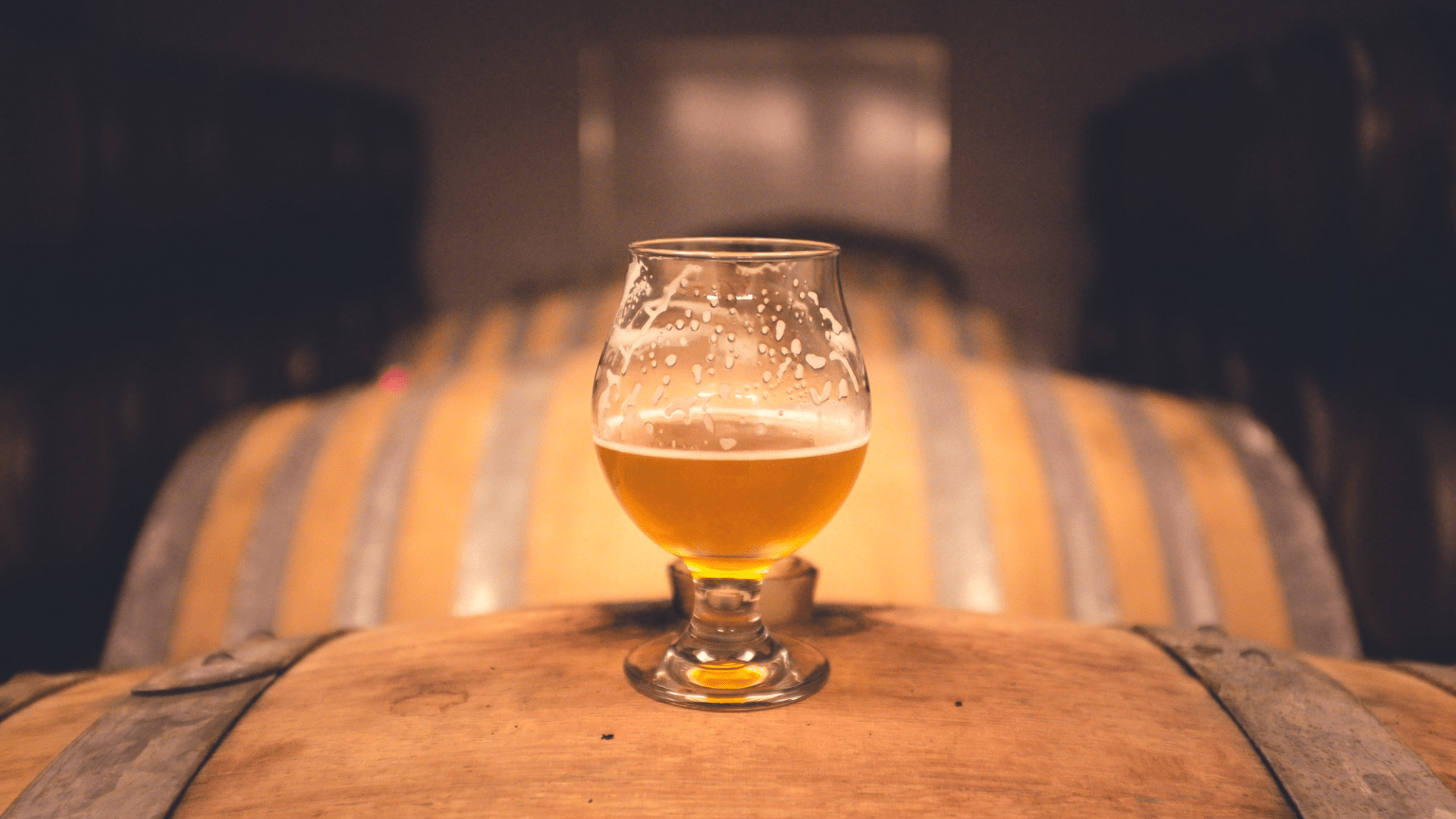 birra da meditazione birra da meditazione