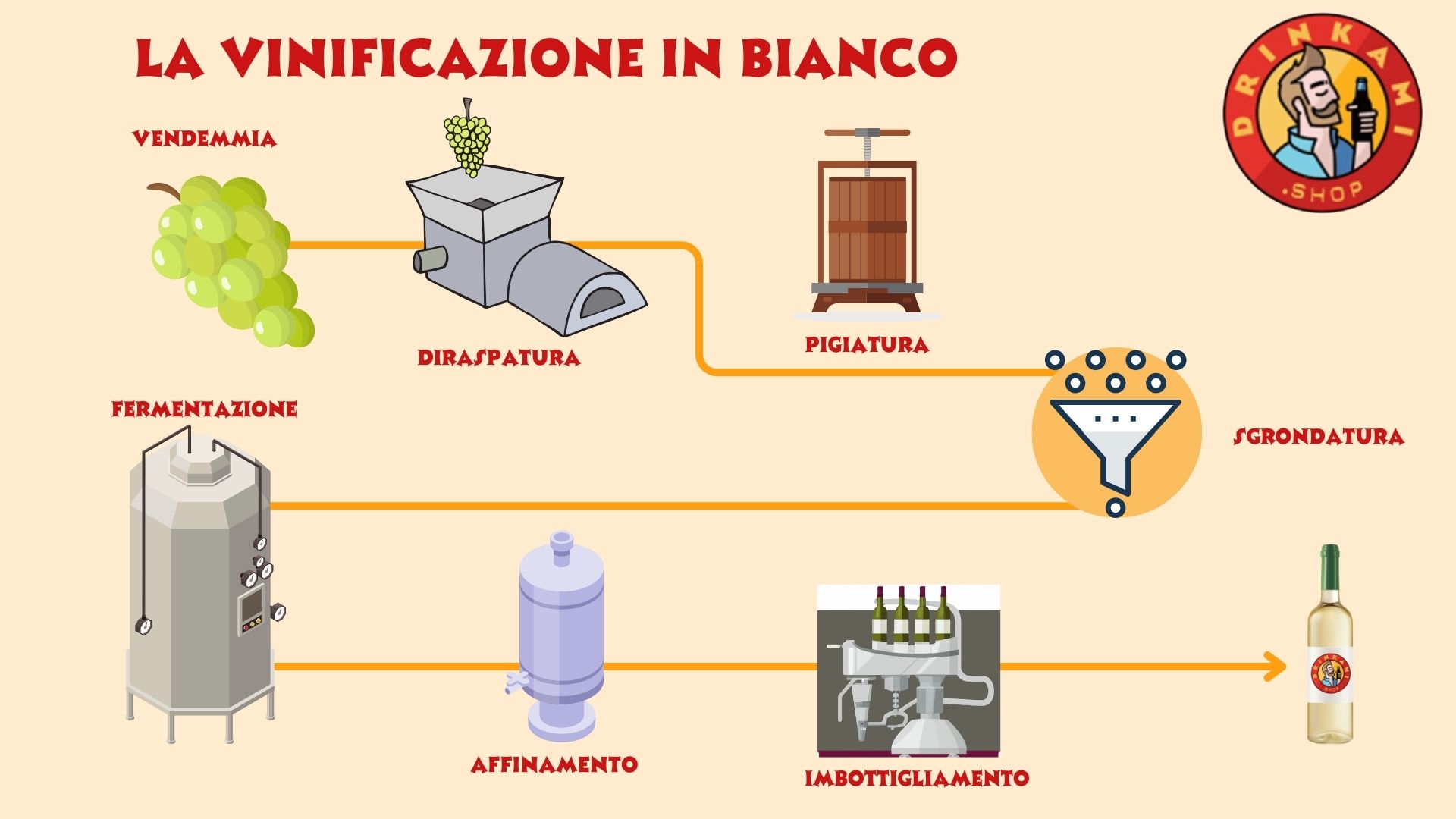 vinificazione in bianco schema vinificazione in bianco schema