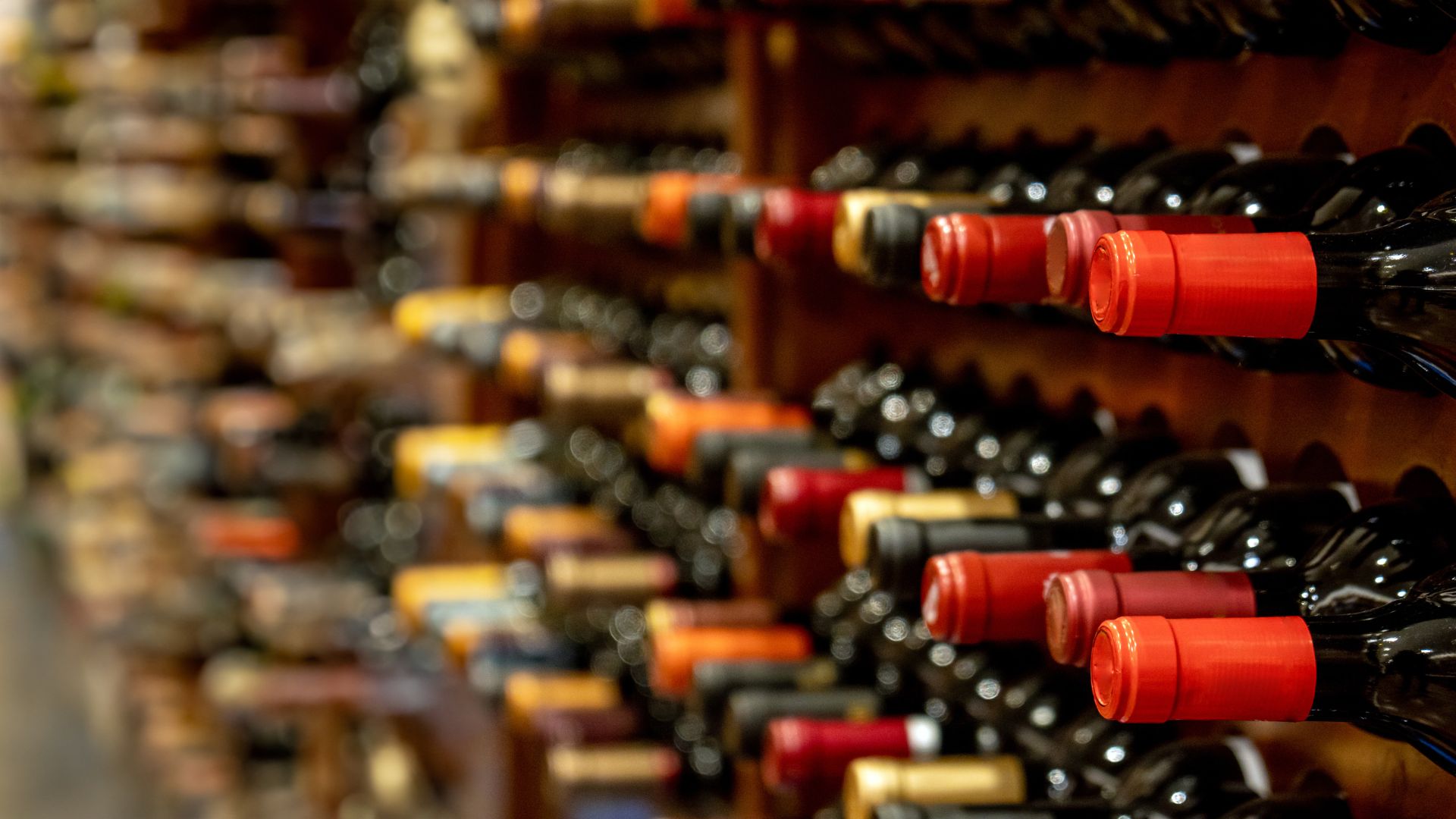 vendita vini all ingrosso vendita vini all ingrosso