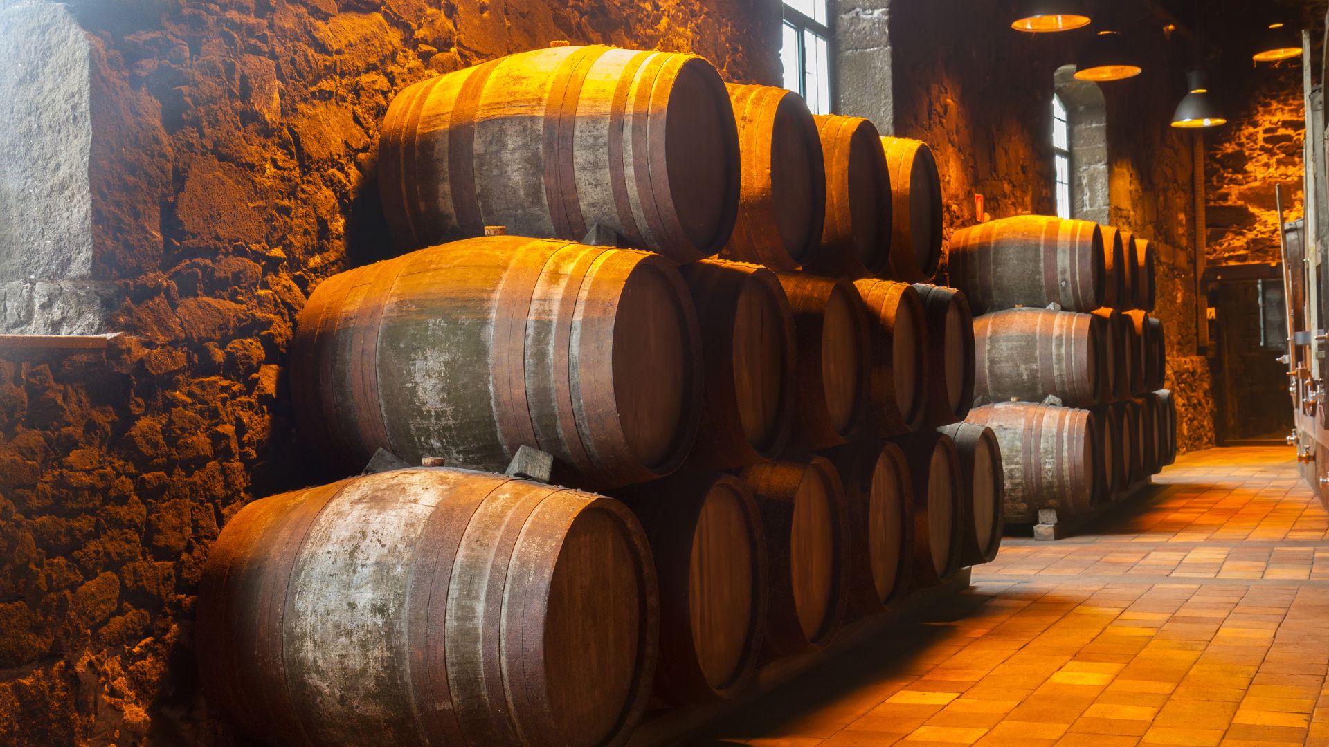 botti del vino botti del vino